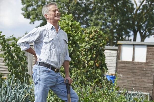 cause of back pain