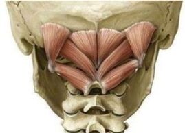 Muscles in the neck that hold the athlete in the wrong position
